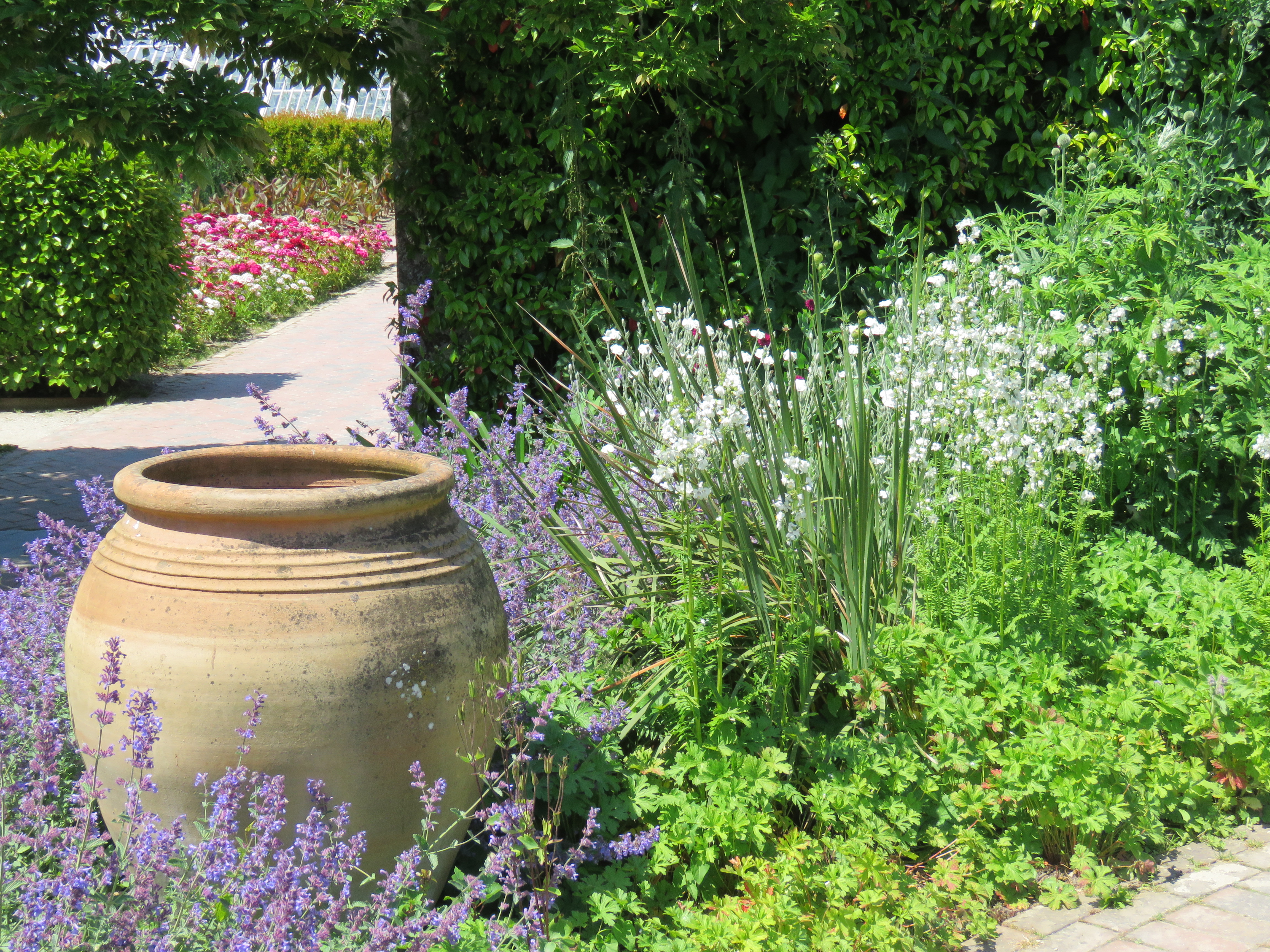 Lovely sunny corner of Heligan's gardens in Summer colour